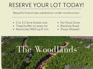 Lot 18 Honey Grove, Livingston, LA 70754
