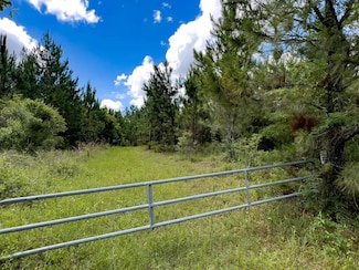 0 Vacant Brushy Hammock Rd, Mayo, FL 32066