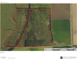 832 County Line Rd, Sikeston, MO 63801