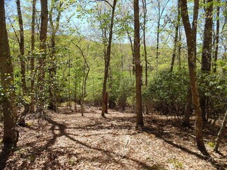 2 Laurel Cir, Buckeye, WV 24924