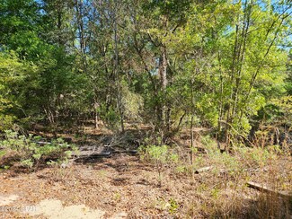 0 Safari Ct Unit 755418, Chipley, FL 32428