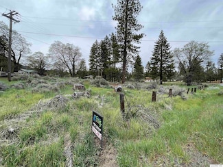 0 Church St Unit 202200234, Janesville, CA 96114