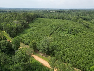 0 County Road 204, Ariton, AL 36311