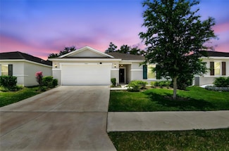 3886 Reflection Dock Dr, Seffner, FL 33584
