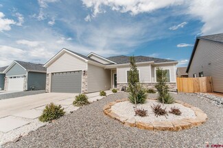 1500 Excelsior Creek Ave, Montrose, CO 81401