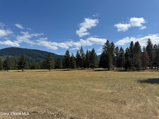 NKA Bunco Lot 2, Athol, ID 83801