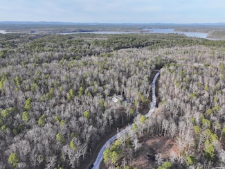 29 Hidden Cove, Mount Ida, AR 71957
