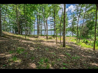 Lot 133 Clearwater Lake Trail, Three Lakes, WI 54521