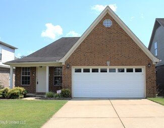 9835 Southern Gum Way, Olive Branch, MS 38654