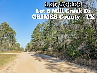 13167 Mill Creek Dr N, Plantersville, TX 77363