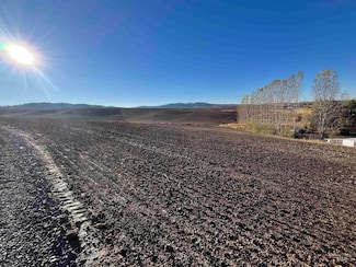 TBD Gray Lane Parcel #2, Viola, ID 83872