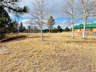 799 Elfin Glen Dr, Divide, CO 80814