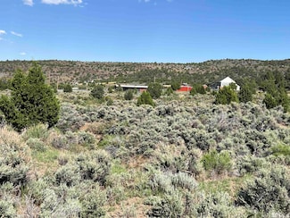 2431 Lousetown Rd, Reno, NV 89521