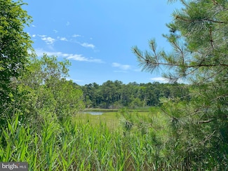 6 Pine Cone Way, Berlin, MD 21811