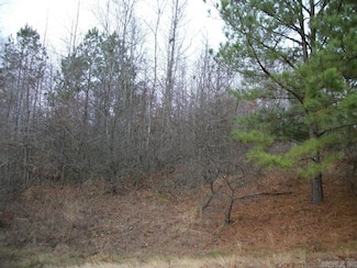 "TBD" Arch St, Little Rock, AR 72206