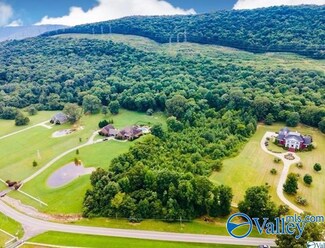 1351 Dug Hill Rd, Brownsboro, AL 35741