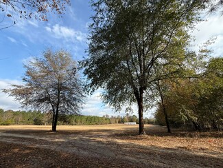 0000 S Carolina 39, Williston, SC 29853