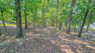 Lot #241 Grand Cove Rd, Jasper Township, MO 65079