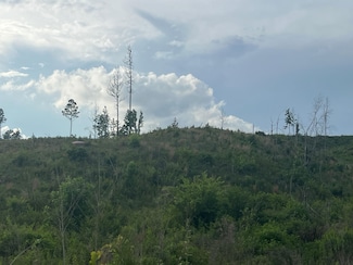 0 U S Highway 82 Unit 20511365, Centreville, AL 35042