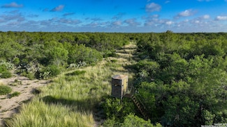 6296 Fm 1019, Bigwells, TX 78830