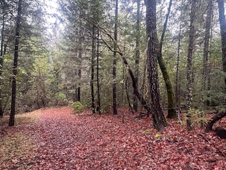 125 Ingalls Ln, Wilderville, OR 97543