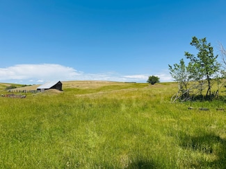 0 Tbd Wasem Rd, Cottonwood, ID 83522