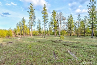 16 Greyback Mt Rd, Goldendale, WA 98620