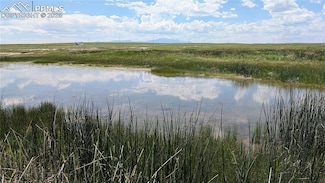 7995 Cowboy Ranch View, Peyton, CO 80831