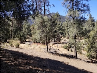 1912 Ironwood Dr, Pine Mountain Club, CA 93252