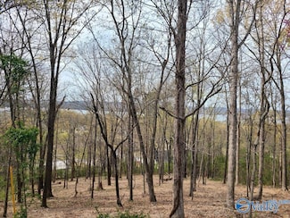 LOT 4 Creek Cir, Guntersville, AL 35976