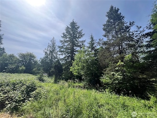 1515 W Franklin St, Shelton, WA 98584