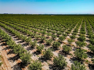 2457 E Clarkson Ave, Selma, CA 93662