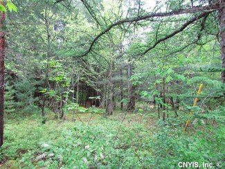 0 N South Rd Unit S291556, Greig, NY 13345