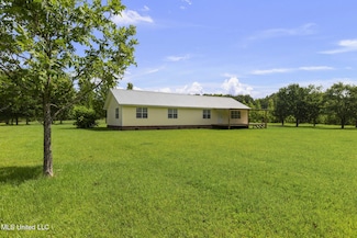 1144 Little Big Mound Rd, Bentonia, MS 39040