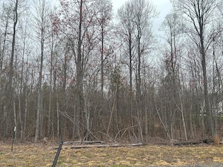 0 Volunteer St Unit 1510039, Jasper, TN 37347
