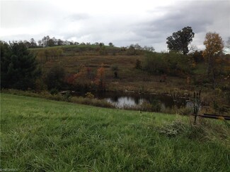 0 Redstone Rd Unit 3761574, Jacobsburg, OH 43933
