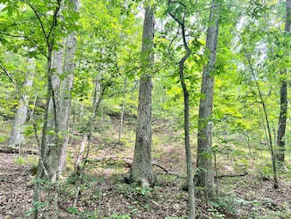 0 Manilla Ridge Rd Unit 11523537, Leon, WV 25123