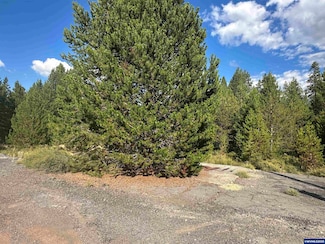 000 Hwy 97 Hwy, Crescent, OR 97733