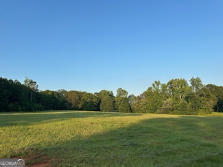 4091 Hollonville Rd, Williamson, GA 30292