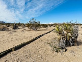 1234 Desert Lilly Rd, Joshua Tree, CA 92252