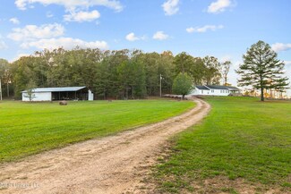 391 Attala Rd 4127 Rd, Sallis, MS 39160