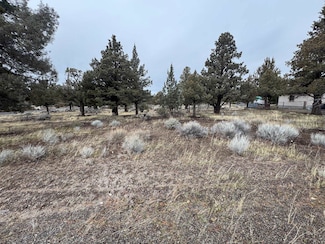 Unit 8-2 Lot 55 Lakeside Dr Unit 8-2, Lake Shastina, CA 96094