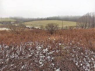 Lot#1 Oregon Hill Rd, Pine Township, PA 16938