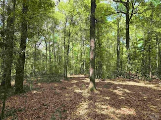 1131 Wolf Log Rd, Flomaton, AL 36441