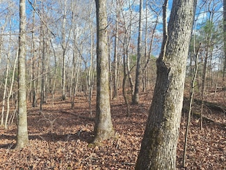 0 Circle g Dr, Lawrenceburg, TN 38464