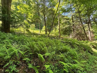 0 Pullim Hollow Rd, Addison, PA 15411