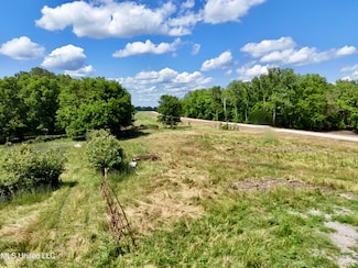 0001 Levee Maintenance Rd, Redwood, MS 39156