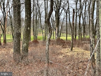 431 Honeysuckle Dr, Hazle Township, PA 18202