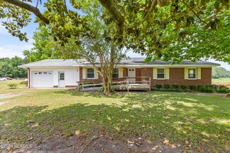 334 Dogwood Stand Rd, Delco, NC 28436