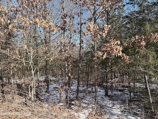 LOT 38 Sterling Ridge Dr, Summit Township, MO 65043
